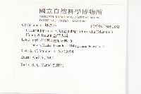 臺灣馬桑藏品圖，第2張