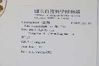 普刺特草藏品圖，第2張