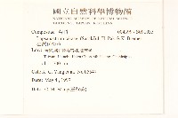 臺灣稻槎草藏品圖，第2張