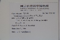 高山莢迷藏品圖，第2張