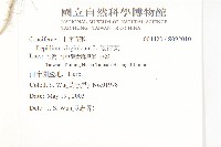獨行菜藏品圖，第2張
