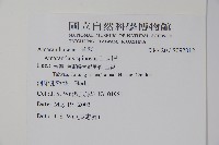刺莧藏品圖，第2張