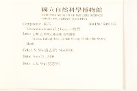 一枝香藏品圖，第2張