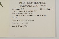 臺灣馬蘭藏品圖，第2張