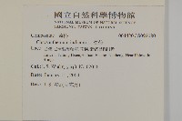 油菊藏品圖，第2張