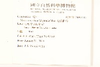 嶺南野菊藏品圖，第2張