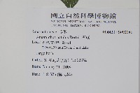 青莧藏品圖，第2張