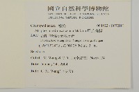 馬氏濱藜藏品圖，第2張