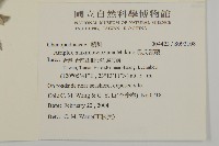 馬氏濱藜藏品圖，第2張