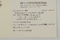 馬氏濱藜藏品圖，第2張