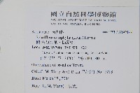 鵝掌柴、江某、鴨腳樹藏品圖，第2張