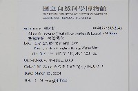 臺灣赤楊、臺灣榿木藏品圖，第2張