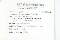 臺灣馬桑藏品圖，第2張