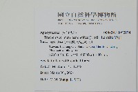 絡石藏品圖，第5張