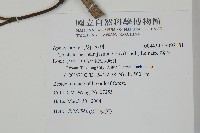 絡石藏品圖，第2張