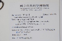 大錦蘭藏品圖，第2張