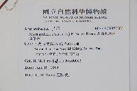 蓮子草藏品圖，第2張