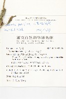 小花斑鳩菊藏品圖，第2張