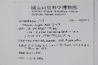 安旱草藏品圖，第2張