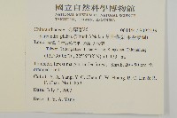 草珊瑚、紅果金粟蘭藏品圖，第2張