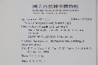 爬森藤藏品圖，第2張