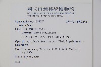 登錄號:S092306藏品圖，第2張