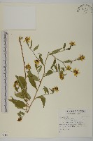 登錄號:S092317藏品圖，第1張