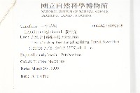 獨行菜藏品圖，第2張