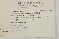 裸花鹼蓬藏品圖，第2張