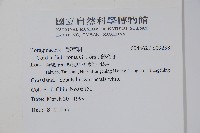 破布子藏品圖，第2張