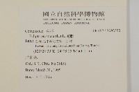 鱧腸藏品圖，第2張