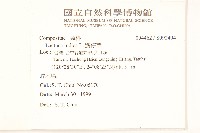 鵝仔草藏品圖，第2張