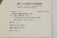 茵蔯蒿藏品圖，第2張