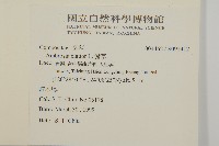 豬草藏品圖，第2張