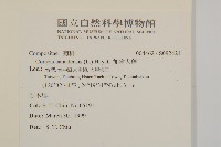 加拿大蓬藏品圖，第2張