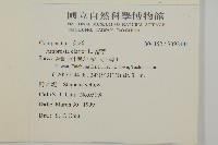 豬草藏品圖，第2張