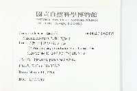 菟絲子藏品圖，第2張