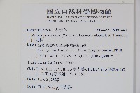 山桔梗藏品圖，第2張