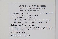 紫花鳳仙花藏品圖，第2張