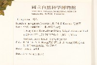 刀傷草藏品圖，第2張