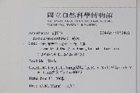 爵床藏品圖，第2張