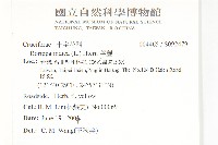 葶藶藏品圖，第2張