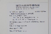 臺灣小蘗藏品圖，第2張