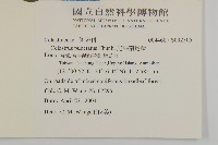 光果南蛇藤藏品圖，第2張