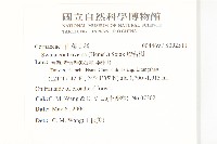 燈台樹藏品圖，第2張