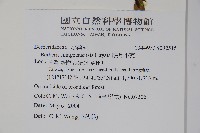 南湖小蘗藏品圖，第2張