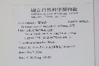 鷗蔓藏品圖，第2張