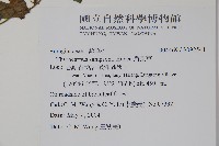 盾果草藏品圖，第2張