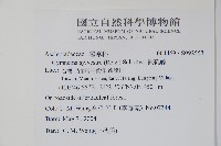 武靴藤藏品圖，第2張