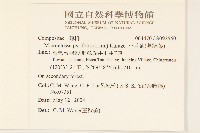 小舌菊、蔓綿菜藏品圖，第2張